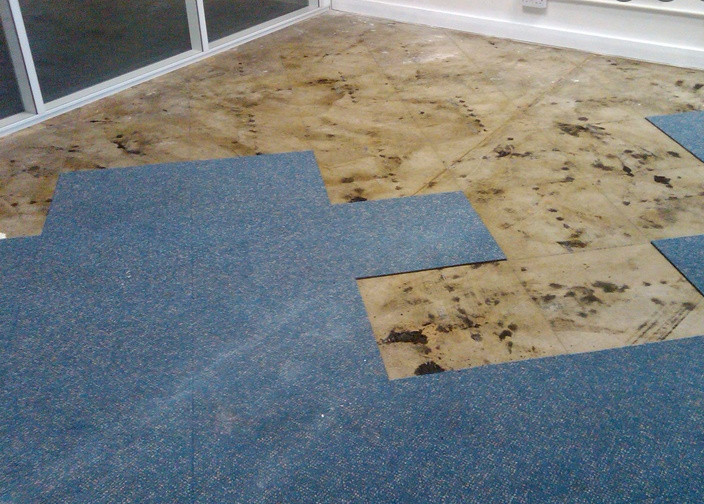 Carpet Direct Stick Removal Gold Coast