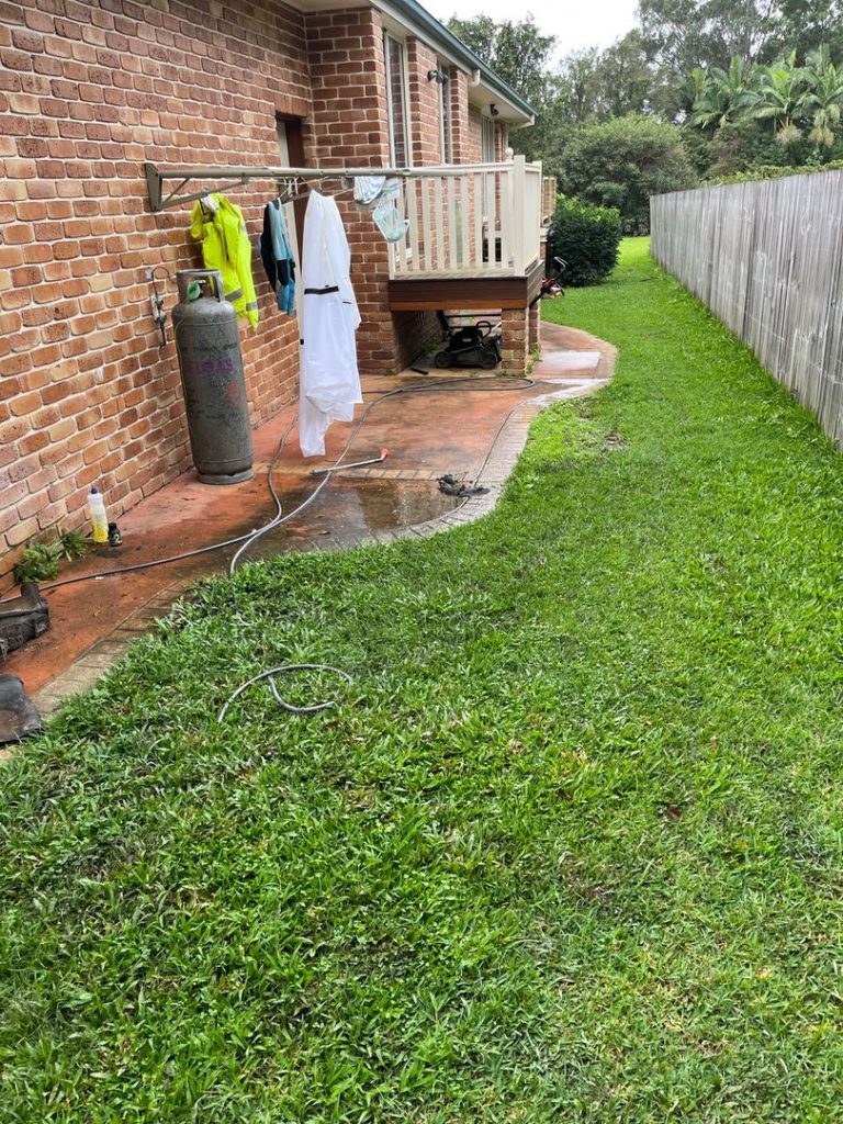 path before.jpg